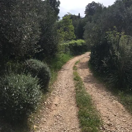 Pura Vigna Immerso Nella Natura Vicino Al Mare