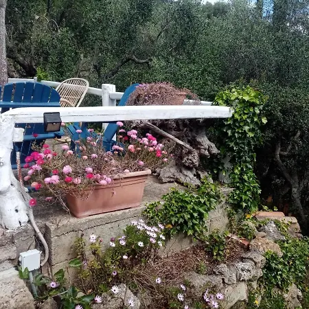 Chalet Pura Vigna Immerso Nella Natura Vicino Al Mare
