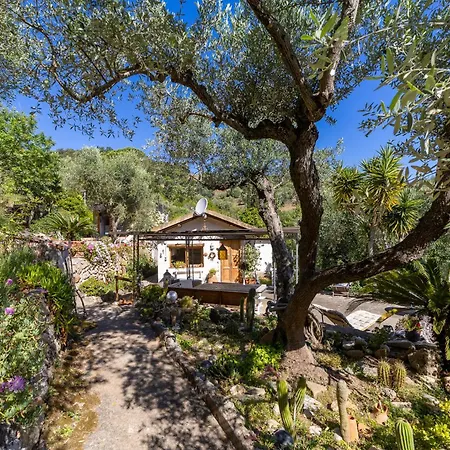 Pura Vigna Immerso Nella Natura Vicino Al Mare Chalet Porto Santo Stefano (Grosseto)